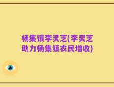 杨集镇李灵芝(李灵芝助力杨集镇农民增收)