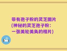 带有孢子粉的灵芝图片(神秘的灵芝孢子粉：一张美轮美奂的相片)