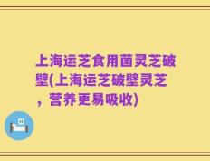 上海运芝食用菌灵芝破壁(上海运芝破壁灵芝，营养更易吸收)