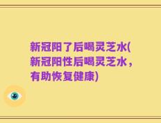 新冠阳了后喝灵芝水(新冠阳性后喝灵芝水，有助恢复健康)