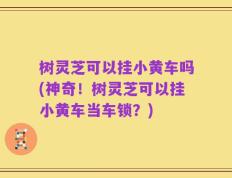 树灵芝可以挂小黄车吗(神奇！树灵芝可以挂小黄车当车锁？)