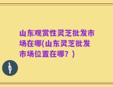 山东观赏性灵芝批发市场在哪(山东灵芝批发市场位置在哪？)