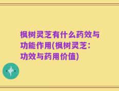 枫树灵芝有什么药效与功能作用(枫树灵芝：功效与药用价值)