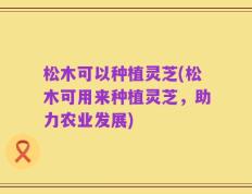 松木可以种植灵芝(松木可用来种植灵芝，助力农业发展)