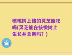 核桃树上结的灵芝能吃吗(灵芝能在核桃树上生长并食用吗？)