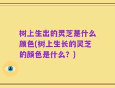 树上生出的灵芝是什么颜色(树上生长的灵芝的颜色是什么？)