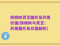 核桃树灵芝图片及药用价值(核桃树与灵芝：药用图片及价值解析)