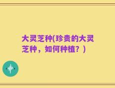 大灵芝种(珍贵的大灵芝种，如何种植？)