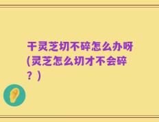 干灵芝切不碎怎么办呀(灵芝怎么切才不会碎？)