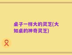 桌子一样大的灵芝(大如桌的神奇灵芝)
