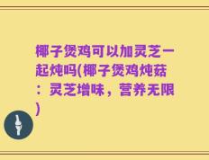 椰子煲鸡可以加灵芝一起炖吗(椰子煲鸡炖菇：灵芝增味，营养无限)