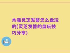 木雕灵芝发簪怎么盘玩的(灵芝发簪的盘玩技巧分享)
