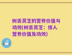 树舌灵芝的营养价值与功效(树舌灵芝：惊人营养价值及功效)