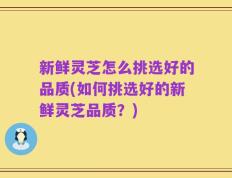 新鲜灵芝怎么挑选好的品质(如何挑选好的新鲜灵芝品质？)