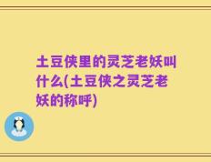 土豆侠里的灵芝老妖叫什么(土豆侠之灵芝老妖的称呼)