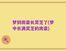 梦到房梁长灵芝了(梦中长满灵芝的房梁)