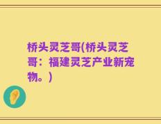 桥头灵芝哥(桥头灵芝哥：福建灵芝产业新宠物。)