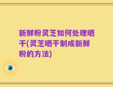 新鲜粉灵芝如何处理晒干(灵芝晒干制成新鲜粉的方法)
