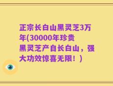 正宗长白山黑灵芝3万年(30000年珍贵黑灵芝产自长白山，强大功效惊喜无限！)