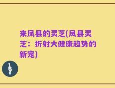 来凤县的灵芝(凤县灵芝：折射大健康趋势的新宠)