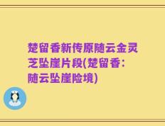 楚留香新传原随云金灵芝坠崖片段(楚留香：随云坠崖险境)
