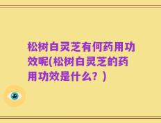 松树白灵芝有何药用功效呢(松树白灵芝的药用功效是什么？)