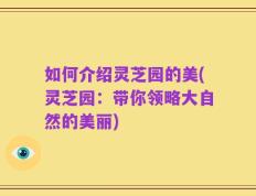 如何介绍灵芝园的美(灵芝园：带你领略大自然的美丽)