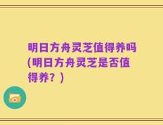 明日方舟灵芝值得养吗(明日方舟灵芝是否值得养？)