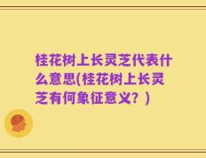 桂花树上长灵芝代表什么意思(桂花树上长灵芝有何象征意义？)