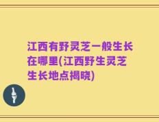 江西有野灵芝一般生长在哪里(江西野生灵芝生长地点揭晓)