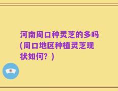 河南周口种灵芝的多吗(周口地区种植灵芝现状如何？)