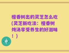 檀香树出的灵芝怎么吃(灵芝新吃法：檀香树炖汤享受养生的好滋味！)