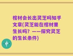 棺材会长出灵芝吗知乎文章(灵芝能在棺材里生长吗？——探究灵芝的生长条件)