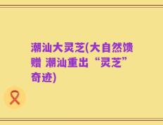 潮汕大灵芝(大自然馈赠 潮汕重出“灵芝”奇迹)