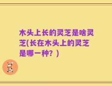 木头上长的灵芝是啥灵芝(长在木头上的灵芝是哪一种？)