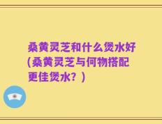 桑黄灵芝和什么煲水好(桑黄灵芝与何物搭配更佳煲水？)