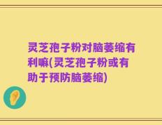 灵芝孢子粉对脑萎缩有利嘛(灵芝孢子粉或有助于预防脑萎缩)