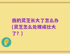 我的灵芝长大了怎么办(灵芝怎么处理成壮大了？)