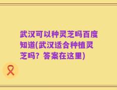 武汉可以种灵芝吗百度知道(武汉适合种植灵芝吗？答案在这里)