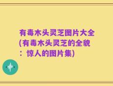 有毒木头灵芝图片大全(有毒木头灵芝的全貌：惊人的图片集)