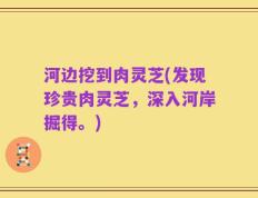 河边挖到肉灵芝(发现珍贵肉灵芝，深入河岸掘得。)