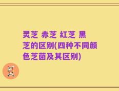 灵芝 赤芝 红芝 黑芝的区别(四种不同颜色芝菌及其区别)