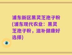 浦东新区黑灵芝孢子粉(浦东现代农业：黑灵芝孢子粉，滋补健康好选择)