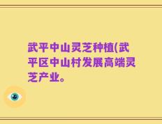 武平中山灵芝种植(武平区中山村发展高端灵芝产业。