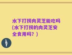 水下打捞肉灵芝能吃吗(水下打捞的肉灵芝安全食用吗？)