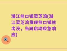 潜江熊口镇灵芝湾(潜江灵芝湾发现熊口镇熊出没，当局启动应急响应)
