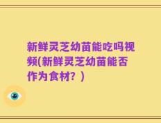 新鲜灵芝幼苗能吃吗视频(新鲜灵芝幼苗能否作为食材？)