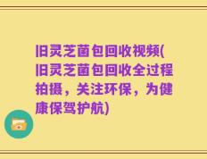 旧灵芝菌包回收视频(旧灵芝菌包回收全过程拍摄，关注环保，为健康保驾护航)