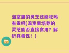 温室里的灵芝还能吃吗有毒吗(温室里培养的灵芝能否直接食用？解析其毒性！)