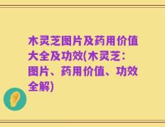 木灵芝图片及药用价值大全及功效(木灵芝：图片、药用价值、功效全解)
